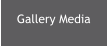 Gallery Media